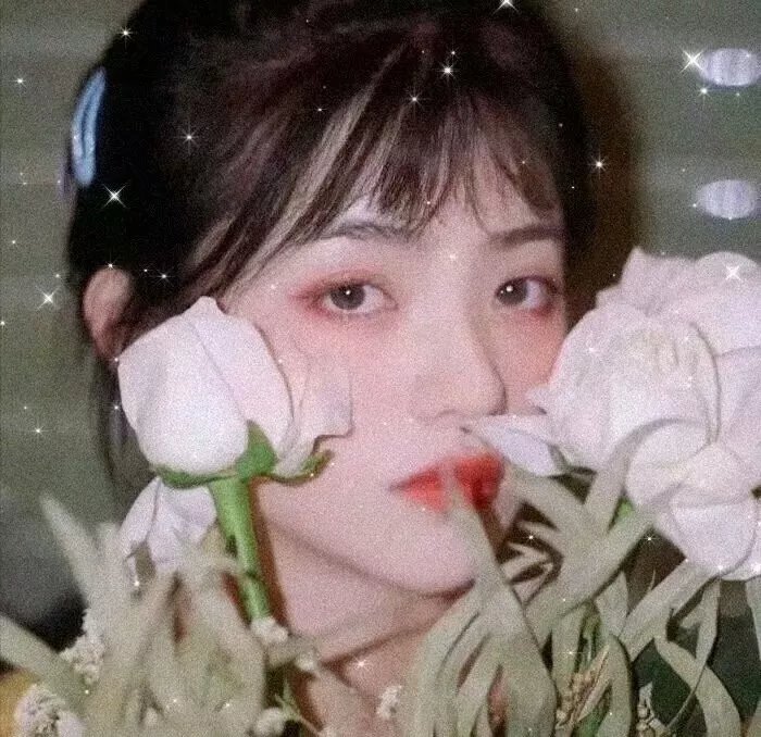 告白